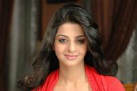 Vedika photos